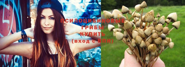 ПСИЛОЦИБИНОВЫЕ ГРИБЫ Алексеевка