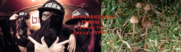 mdpv Алзамай